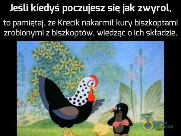 Jeśli kiedyś poczujesz sie jak zwyrol, to pamiętaj, że Krecik nakarmił kury biszkoptami zrobionymi z biszkoptów, wiedząc o ich składzie.