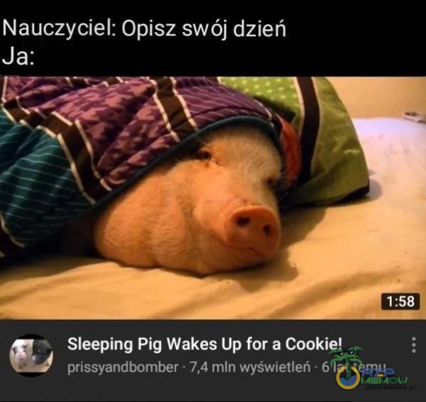Nauczyciel: Opisz swój dzień 1:58 Sleeping Pig Wakes Up for a Cookie! prissyandbomber • 7,4 mln wyświetleń • 6 lat temu