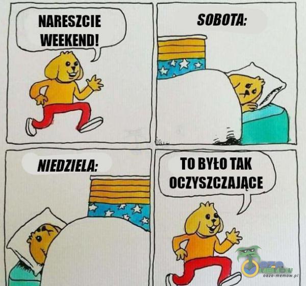 NARESZCIE WEEKEND! NIEDZIELA: OCZYSZCZAJĄCE