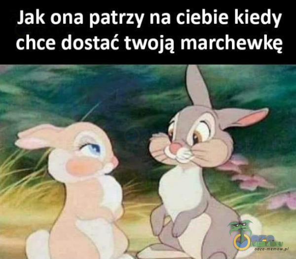 Jak ona patrzy na ciebie kiedy chce dostać twoją marchewkę