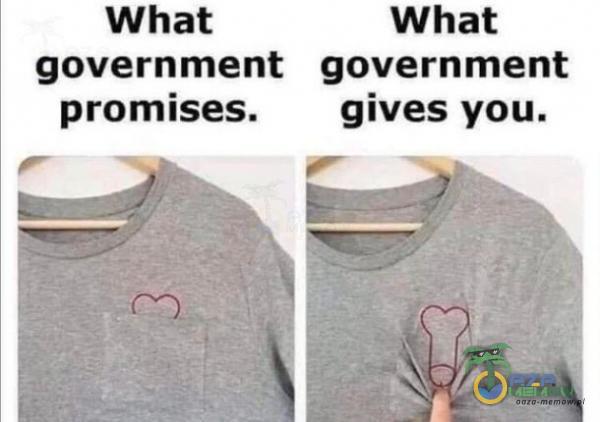 What What government government promises. gives you.