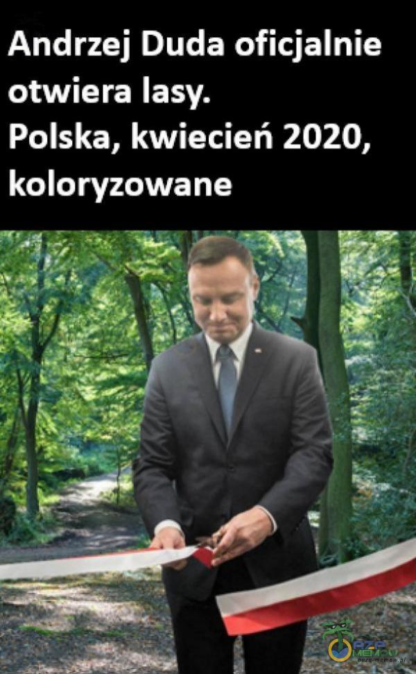 PLYTE EKO ITIL otwiera lasy. Polska, kwiecień 2020, koloryzowane