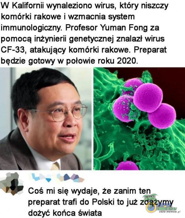   W Kalifornii wynaleziono wirus, który niszczy komórki rakowe i wzmacnia system immunologiczny. Profesor Yuman Fong za pomocą inżynierii genetycznej znalazł wirus CF-33, atakujący komórki rakowe. Preparat będzie gotowy w połowie roku 2020....