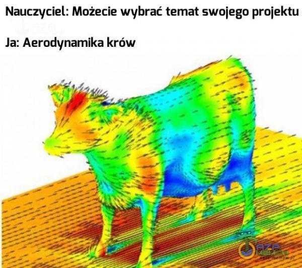 Nauczyciel: Możecie wybrać temat swniego proiektu la: Aerodynamika krów