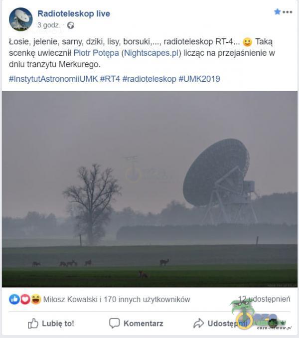   Radioteleskop live 3 godz G Losie, jelenie, sarny, dziki, lisy, borsuki,..., radioteleskop Taką scenkę uwiecznił Piotr Potępa (Nightscapes) licząc na przejaśnienie w dniu tranzytu Merkurego. #łnstytutAstronomiiUMK #RT4 #radi0tełesop #UMK2019...