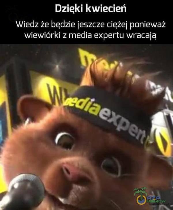 > A ACH] Wiedz że będzie jeszcze ciężej ponieważ WEGO Ads RZE PA rzez