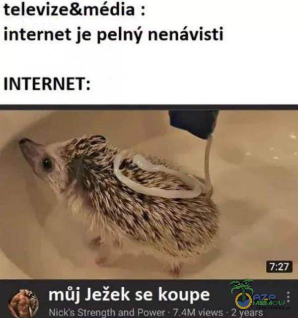 televize8:módia : internet je pelny nenświsti INTERNET: J A CS AJ- Js