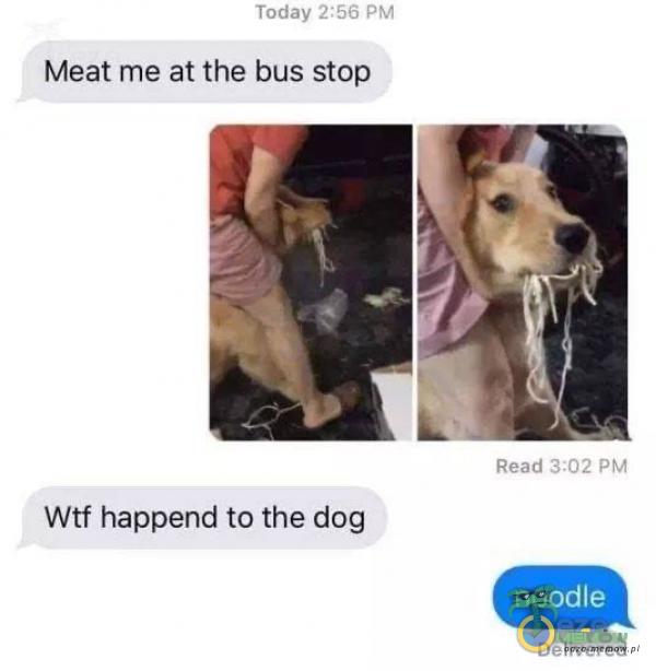 Today 2:56 PM Meat me at the bus stop Read 3:02 PM Wtf happend to the dog noodle Delivered