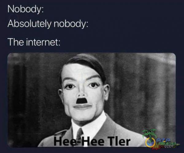 Nobody: Absolutely nobody: The internet: H eTler