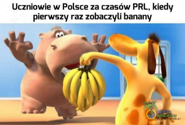 Codziennie tylko śmieszne memy, pasty, gify, suchary i filmy - przeglądaj, komentuj, dodawaj własne!