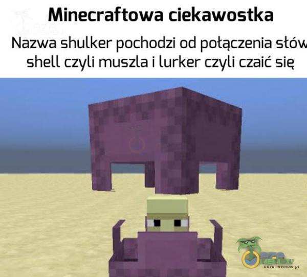Minecraftowa ciekawostka Nazwą shulker pochodzi od połączenia słów shell czyli muszla i lurker czyli czaić się
