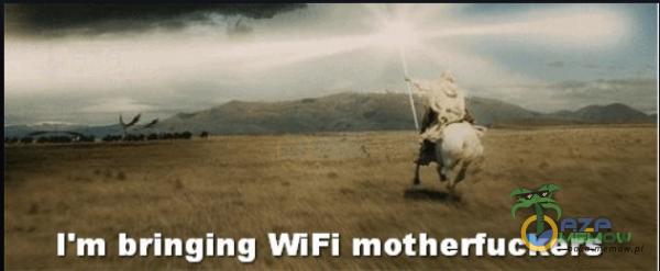 Um bringing WiFi motherfiickers
