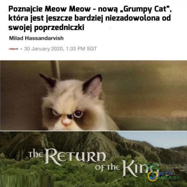 Poznajcie Meow Meow - nową „Grumpy Cat”, która |est jeszcze bardziej niezadowolona od swoje| poprzedniczki Milad Hassandarvsh PR U PT O d R ei .an