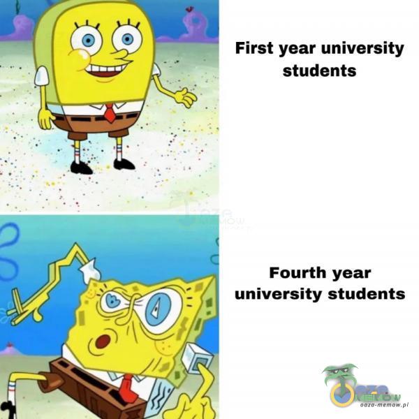 First year university students Fourth year university students