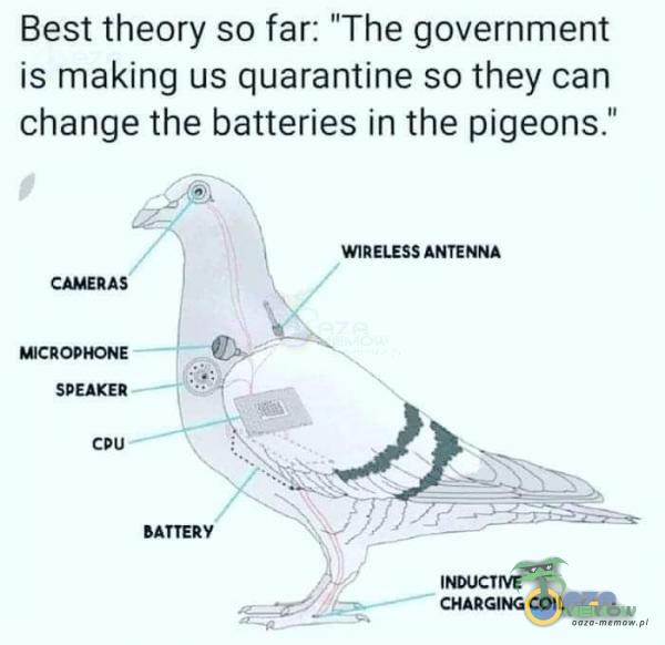 Best theory sa far; The government is making us quarantine so they can change the batteries in the pigeons. | WIRELESS ANTENNA CAMEKŻS - B MIERÓPKONE m SPEAKER om cpu A) —— BATTERY mm IKOUCTIVE