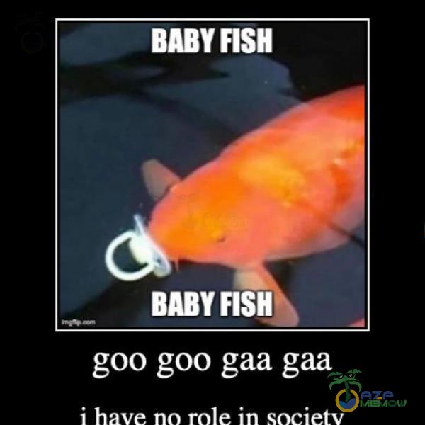 BABY FISH BABY FISH goo goo gaa gaa