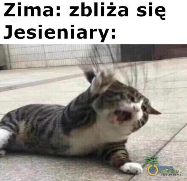 Zima: zbliża się Jesieniary: