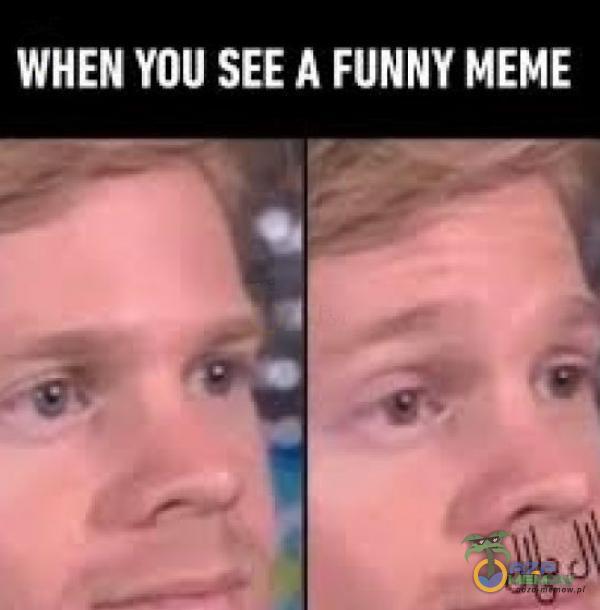 WHEN YOU SEE A FUNNY MEME