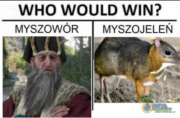 WHO WOULD WIN? _MYSZOWÓR MYSZOJELEŃ