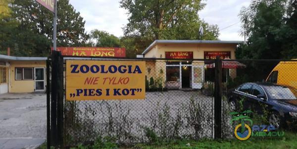 ZOOLOGIA ME TYLKO „PIES 1 KOT”