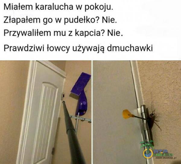 Miałem karalucha w pokoju. Złapałem go w pudelko? Nie. Przywaliłem mu z kapcia? Nie. Prawdziwi łówcy używają dmuchawki