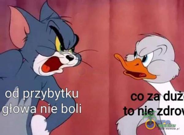 04 przybytku głowa nie boli co duz ie