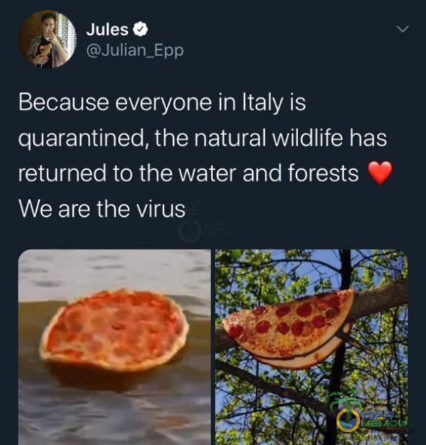 JulesQ BUlar_Ebfs Because everyone in Italy js eWwEEWi NSZZ EAIiE ISA prz returned to the water and forests % We are the Virus