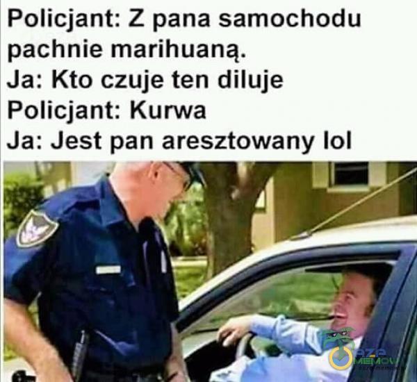 Policjant: Z pana samochodu pachnie marihuaną. Ja: Kto czuje ten diluje Policjant: Kur*** Ja: Jest pan aresztowany 101