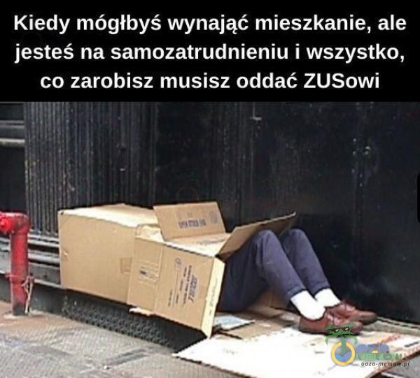 Kiedy mógłbyś wynająć mieszkanie, ale jesteś na samozatrudnieniu i wszystko, co zarobisz musisz oddać ZUSowi