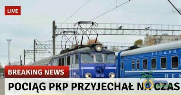 LIVE BREAKING NEWS . POCIĄG PKP PRZYJECHAŁ NA CZAS