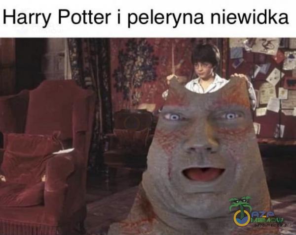 Harry Potter i peleryna niewidka