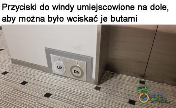 Przyciski da windy umiejscowione na dole, aby można było wciskać je butami