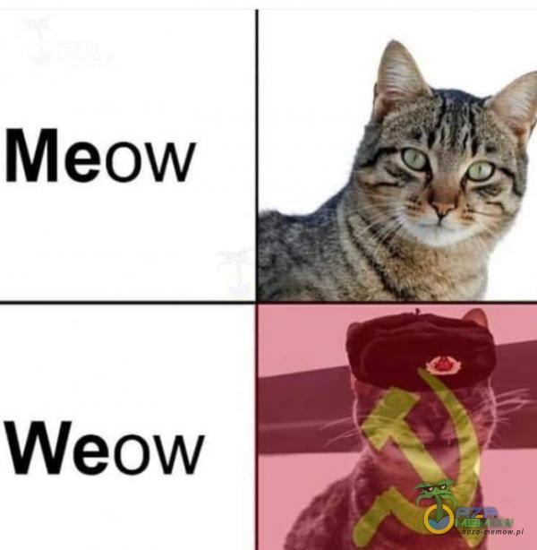 Meow Weow