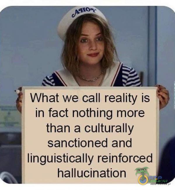 What we call reality is in fact nothing more than a culturally sanctioned and linguistically reinforced hallucination