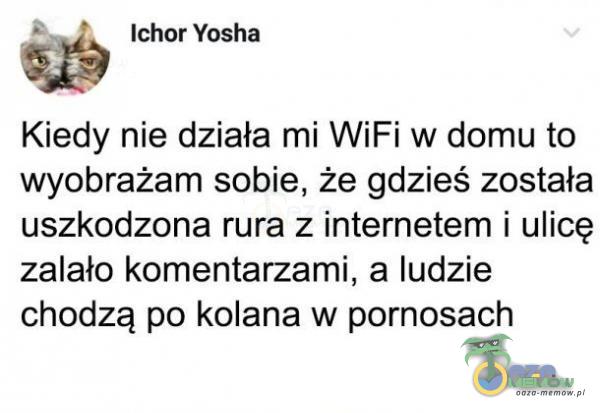 Ichor Yosha Kiedy nie działa mi WiFi w domu to wyobrażam sobie, że gdzieś została uszkodzona rura z internetem i ulicę zalało komentarzami, a ludzie chodzą po kolana w por***ach