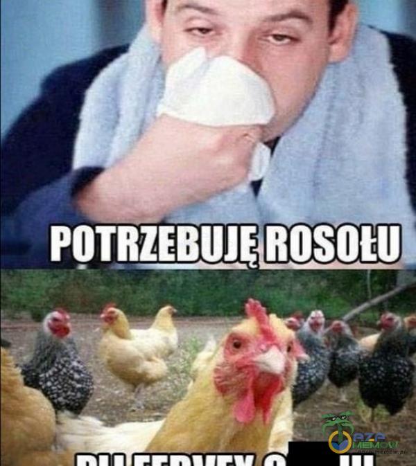 POTRZEBUJE ROSOW