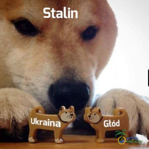 Stalin Ukraina Głód