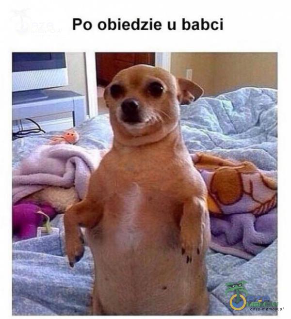 Po obiedzie u babci