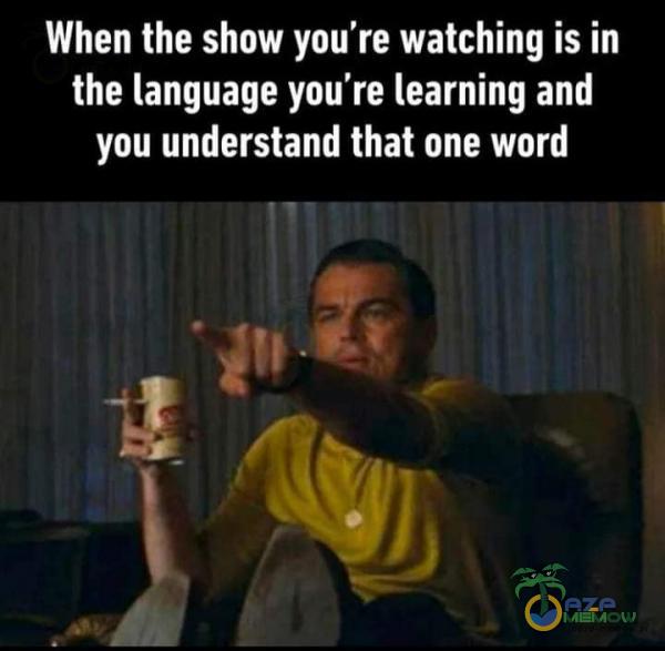 When the show you re watching is in the language you re learning and you understand that one word LTZ. i p p