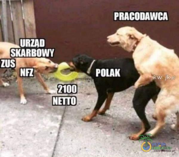 PRACODAWCA URZAD SKARBOWY ZUS POLAK 2100 NETTO