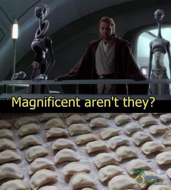 Magnificent aren t they?