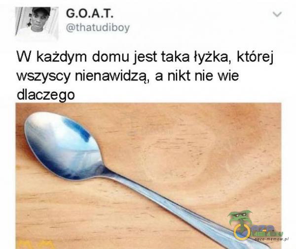 1 Fttradllo W każdym cdomu jest taka łyżka, której wszyscy nieriawidzą, a nikt nie wie dlaczego