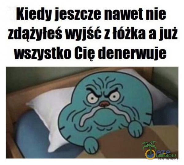 Kiedy jeszcze nawet nie zdążyłeś wyjść z lóżka a już wszystko Cie denerwuje